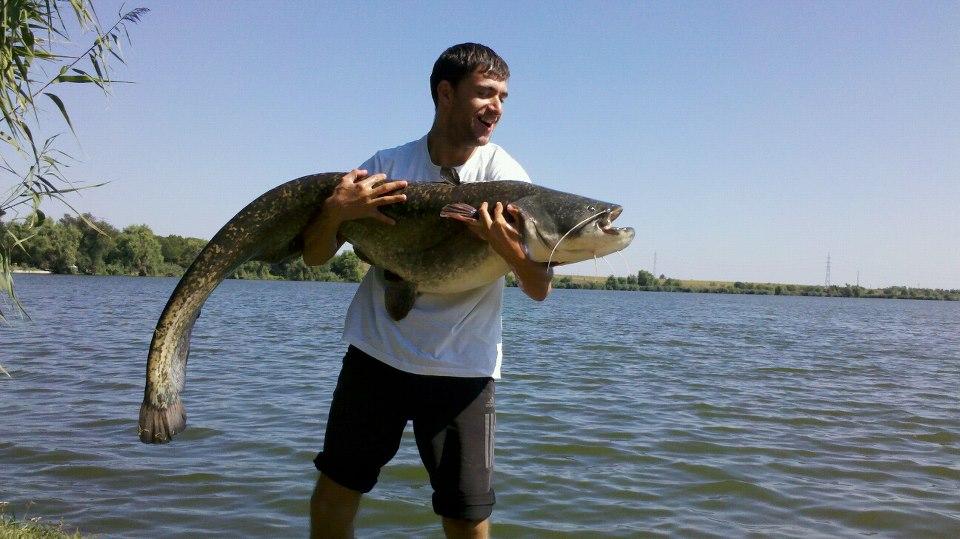 Poze Tancabesti-Avicola 4 31.08-02.09.2012 - 5465125213101278945571218126691n.jpg